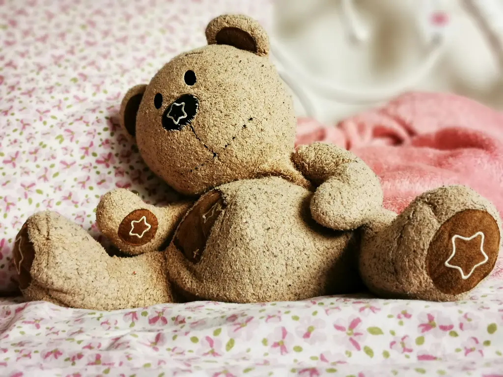 SnuggleBear Soft Toy (Medium)