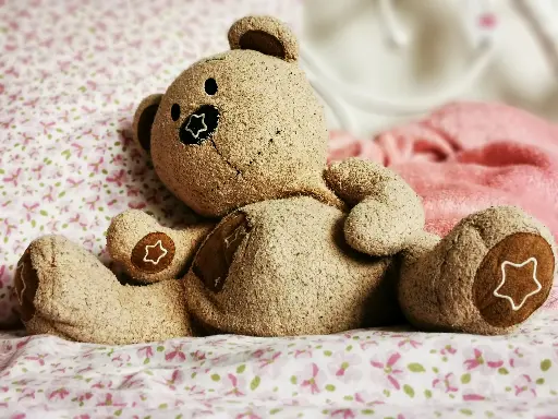 SnuggleBear Soft Toy (Medium)